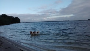 HollandAldoimWasser