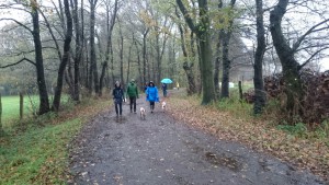 KooikerSpaziergang1511152
