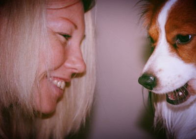 kooikerhondje-aldo-bayrischer-wald-6