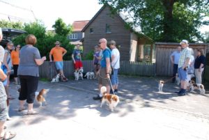 Gemischt 300616 006