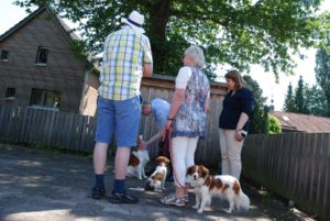 Gemischt 300616 011