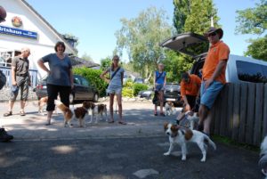 Gemischt 300616 016
