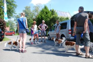 Gemischt 300616 020