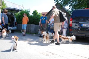 Gemischt 300616 025