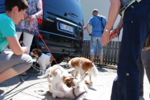 Gemischt 300616 044