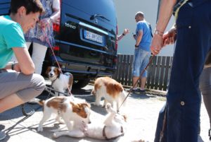 Gemischt 300616 045