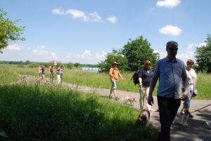 Gemischt 300616 046