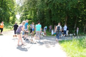 Gemischt 300616 047