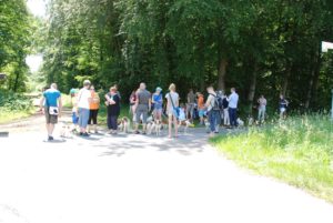Gemischt 300616 050