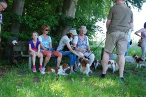 Gemischt 300616 055