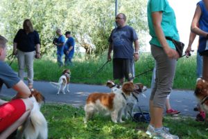 Gemischt 300616 057