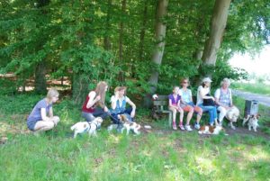 Gemischt 300616 062