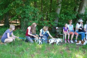 Gemischt 300616 063