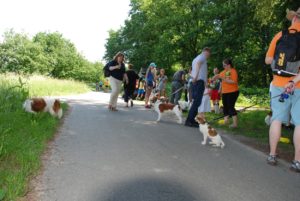 Gemischt 300616 064