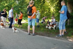 Gemischt 300616 066