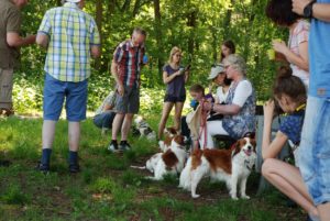Gemischt 300616 067