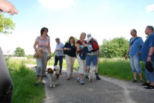 Gemischt 300616 073