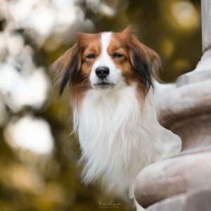IMG_20170709_120124_312