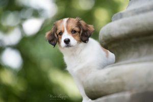 IMG-20170706-WA0004 (1)